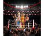 Vstup do ringu s kolekcí Playmobil WWE