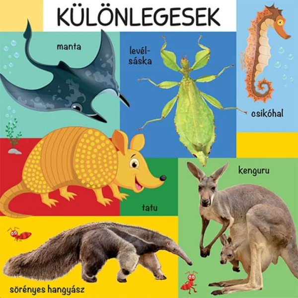 101 barevná kniha o divokých zvířatech obrázek 3