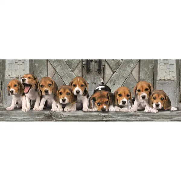 Beagle štěňata 1000 dílků panorama puzzle 98x33cm - Clementoni obrázek 2