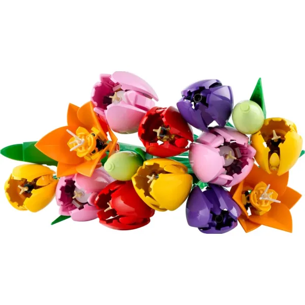LEGO® Botanicals: Kytice tulipánů (10501) obrázek 2
