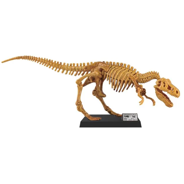 Luna: Obří archeologická sada T-Rex 40 cm obrázek 2