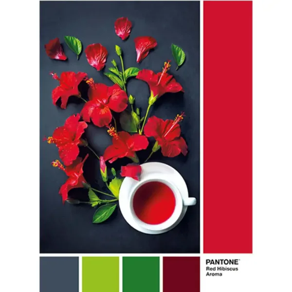 Pantone Hibiskus čaj puzzle 1000 dílků - Clementoni obrázek 2