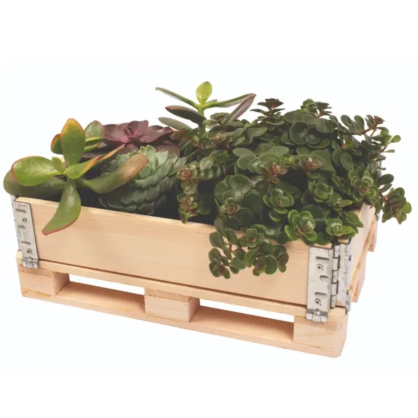 PlayBox: Dřevěná paletová bedna 18x28x8,65 cm obrázek 3