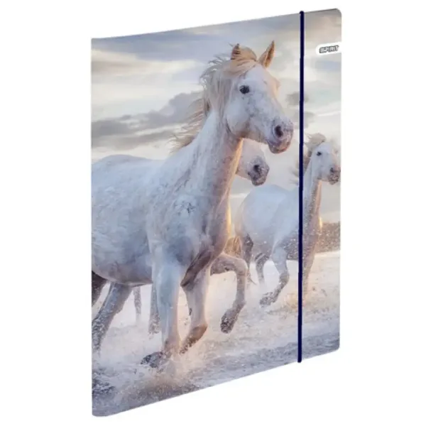 Spirit: Cool Magical Horse jezdecký ergonomický školní batoh, batoh 4dílná sada obrázek 6