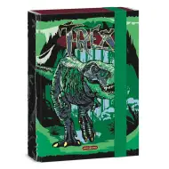 Ars Una: Box na sešity A5 s motivem T-Rex 16x22x3,5 cm