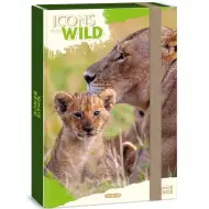 Ars Una: Icons of the Wild Lions box na sešity A/4