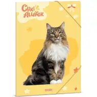 Ars Una: Roztomilá zvířata – Norská lesní kočka A/4 desky s gumičkou