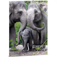 Ars Una: Serenity – Slon A/4 gumičková složka