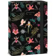 Ars Una: Tahiti box na sešity A/4