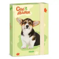 Ars Una: Welsh Corgi bulldog box na sešity A/5