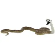 Černá mamba had - figurka Bullyland