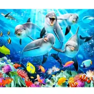 Diamantová mozaika: Sada na malování diamanty s motivem delfínů 40x50 cm