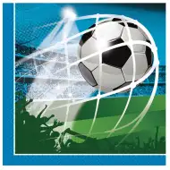 Fotbalové dvouvrstvé papírové ubrousky s motivem gólové radosti, balení 20 ks.