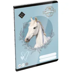 ICO: LizzySuli Wild Beauty Sport Club linkovaný sešit pro 4. třídu A5 21-32