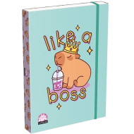 ICO: Lizzysuli Lollipop Capybara vzorovaný box na sešity A4
