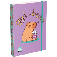 ICO: Lizzysuli Lollipop box na sešity A/5 se vzorem kapybary