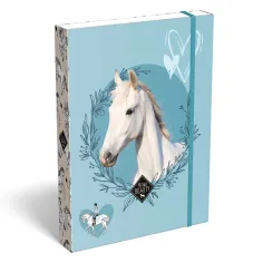 ICO: Lizzysuli Wild Beauty Sport Club box na sešity s motivem A5