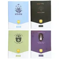 ICO: Studentský sešit v kostce A4