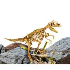 JSEM Génius: Sada archeologických nástrojů pro dinosaura Tyrannosaurus Rex obrázek 2