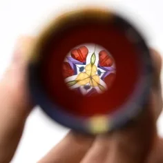 Kaleidoskop se zvířaty v několika variantách obrázek 2