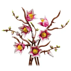 LEGO® Botanicals: Magnóliové větve (11510) obrázek 2