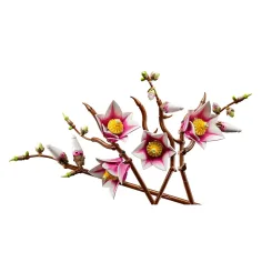 LEGO® Botanicals: Magnóliové větve (11510) obrázek 3