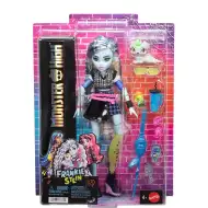 Monster High panenka Frankie Stein s doplňky - Mattel