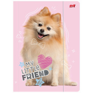 My Little Friend Sweet Pomeranian složka s gumičkou ve formátu A4