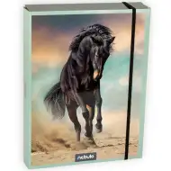 Nebulo: Box na sešity ve velikosti A5 s motivem koně