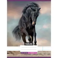 Nebulo: Kůň v písku linkovaný sešit 81-32 A/4
