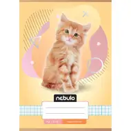 Nebulo: Kostkovaný sešit s motivem kočky A/5 27-32