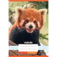 Nebulo: Sešit s červenou pandou s kostičkovaným vzorem 27-32 A/5