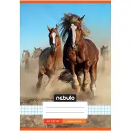 Nebulo: Sešit s kostičkovaným vzorem a motivem divokých koní 27-32 A/5