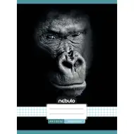 Nebulo: Sešit s kroužkovou vazbou, čtverečkovaný, s motivem gorily, 87-32 A/4