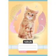 Nebulo: Sešit s linkami pro 2. třídu A5 16-32 Zvířecí - Kočičí