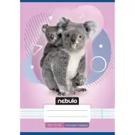 Nebulo: Sešit s linkami pro 4. třídu s motivem koal, formát A/5, 21-32