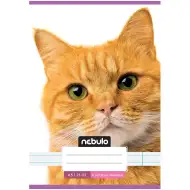 Nebulo: Sešit s linkami pro 4. třídu, sešit velikosti A5, 21-32, s červeným kočičím motivem, sešit sponkovaný.