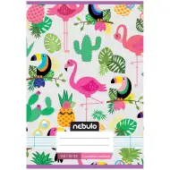 Nebulo: Sešit s linkami s motivem tukana pro 2. třídu, 16–32 stran, formát A5, sešitý