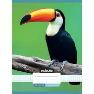 Nebulo: Sešit s motivem tukana s čtverečkovaným vzorem 87-32 A/4