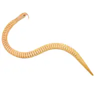 PlayBox: Dřevěné hady, balení 6 ks