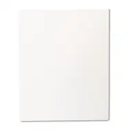 Playbox: Napjatý bílý malířský plátno 24x30cm