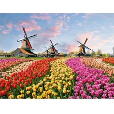 Diamantové puzzle: Holandské tulipánové pole diamantové malování sada 30x40cm
