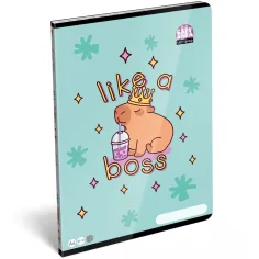 ICO: LizzySuli Lollipop Kapybara s potiskem kostek sešit A/4 27-32 obrázek 1