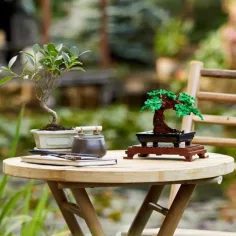 LEGO® Creator: Bonsai strom (10281) obrázek 5
