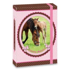 My Horse sešitová krabice A5