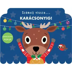 Odpočítávej... Do Vánoc! pohádková kniha