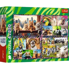 Zábavná zvířata 4x250ks puzzle - Trefl obrázek 1