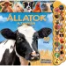 20 zvuků - Zvířata na farmě