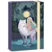 Ars Una: Northern Lights box na sešity A4