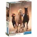 Divoké koně HQC 1000 dílků puzzle s plakátem - Clementoni